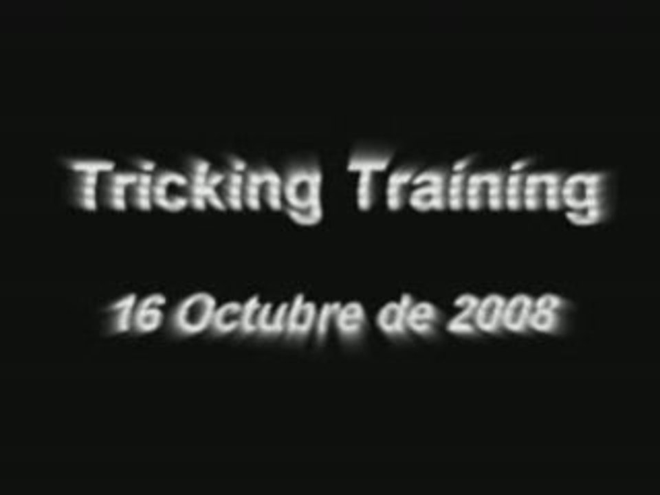 Tricking Training 16-Oct-2008 Walter,Esteban y Armando