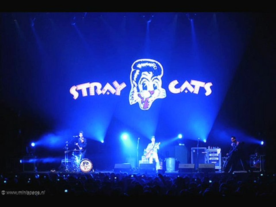 jes chante Stray cat strut