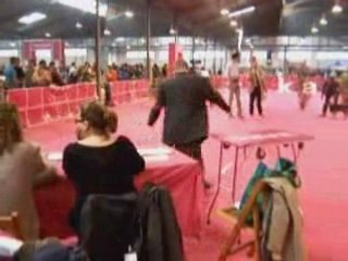 Monografica Martorell 2008 Jovenes hembras