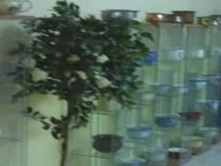 museo del orinal en ciudad rodrigo ( mis vacas 1 )