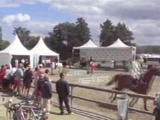 tour d'honneur