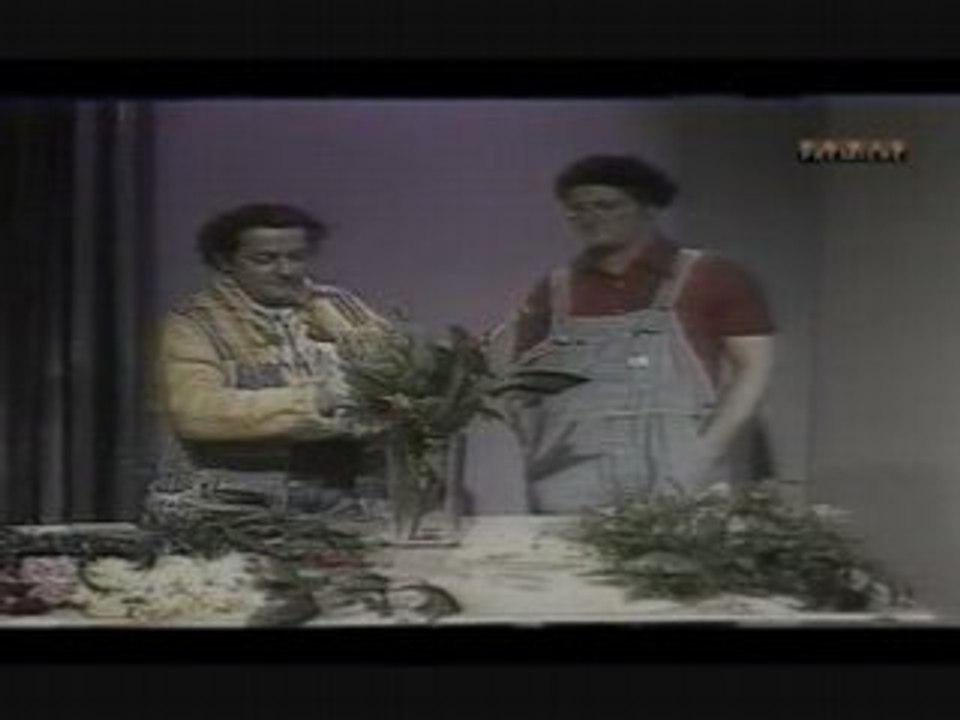 Le Fleuriste Coluche