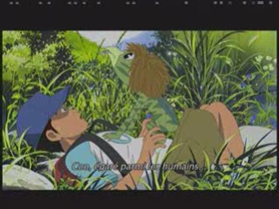 Un été avec coo