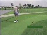 Funny - Golf Accident - Old Lady Kills Seagull