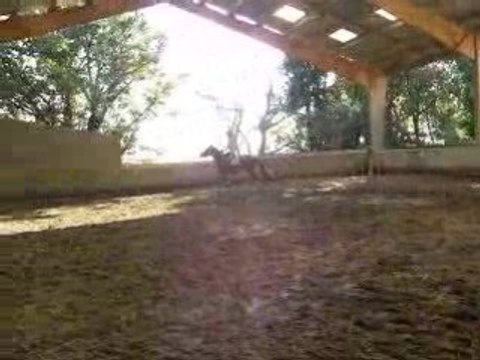 Année 2007.2008 1359