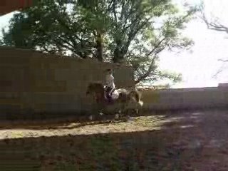 Année 2007.2008 1361