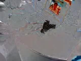 Macbook black white glossy