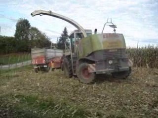 Ensilage 2008 002