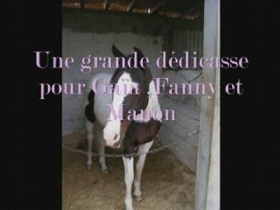 Centre equestre de montfort