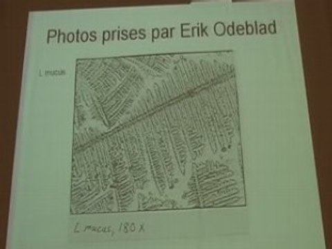 Méthodes naturelles (Gobbi): Partie 1.