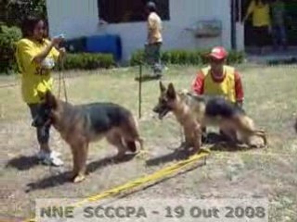 NNE SCCCPA 4a_Machos