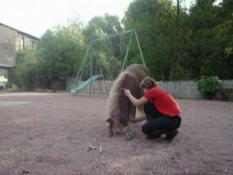 ethologie avec caline