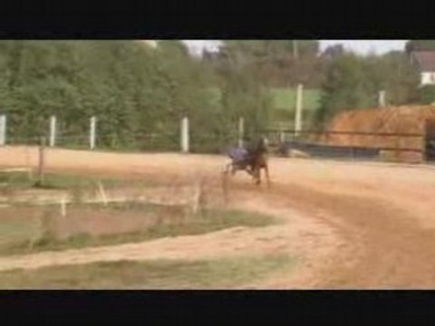 Débourrage Taquine d'Osmoz