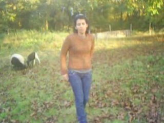 les biquettes de pringy