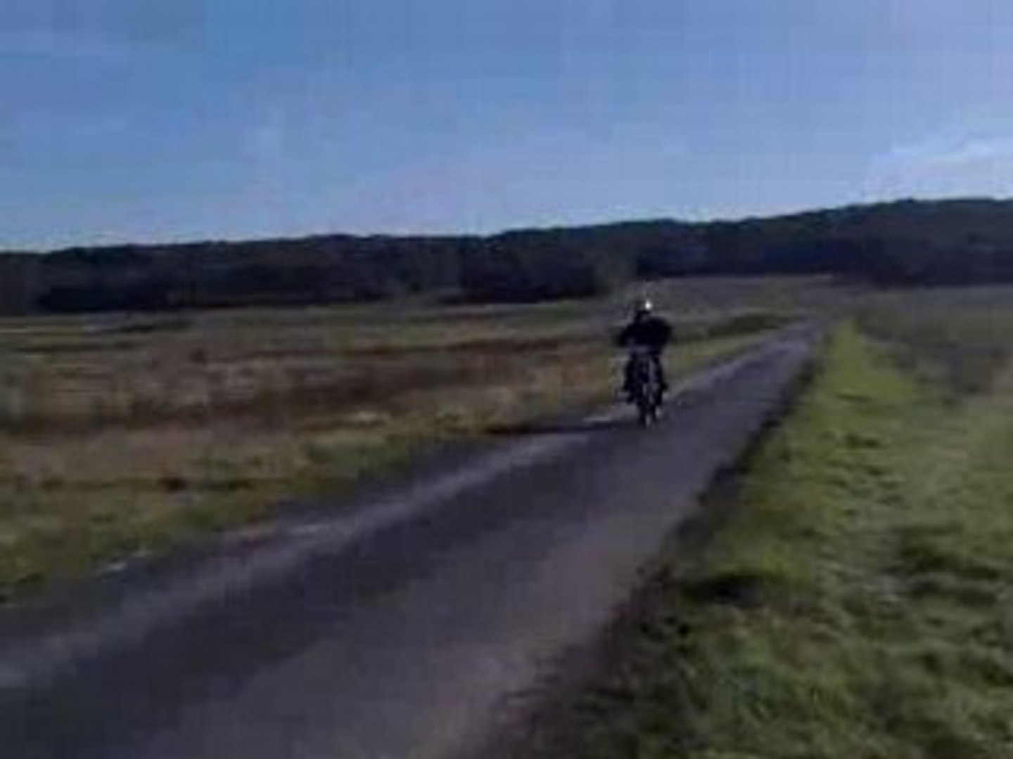 pro race