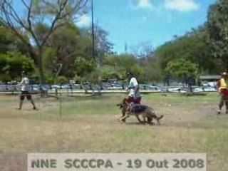 NNE SCCCPA - 3a Femeas