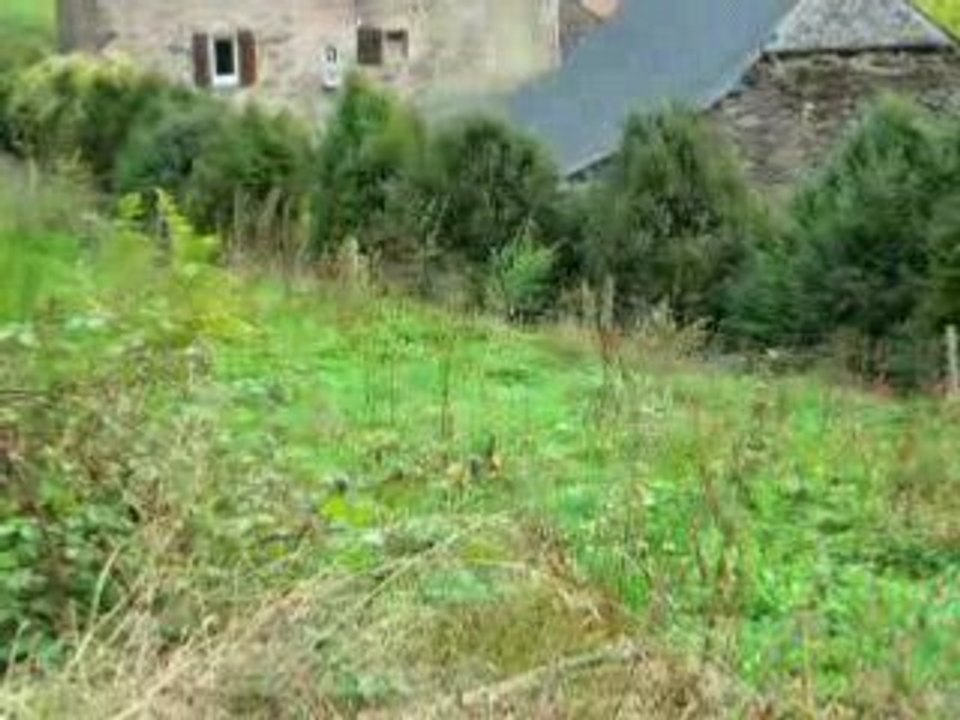 Pépita pas contente