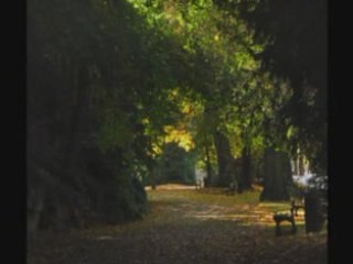 Douai, le parc Bertin