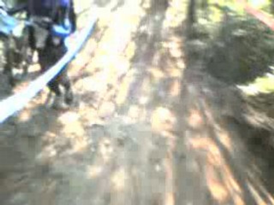mont dol 2008