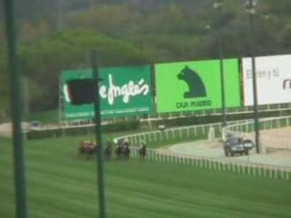 2008 (407) Premio Bang & Olufsen (H) (LISSELAN RIGHTCALL)