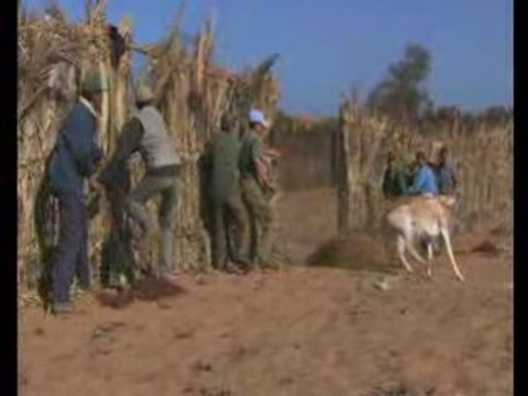 Maroc (المملكة المغربية)