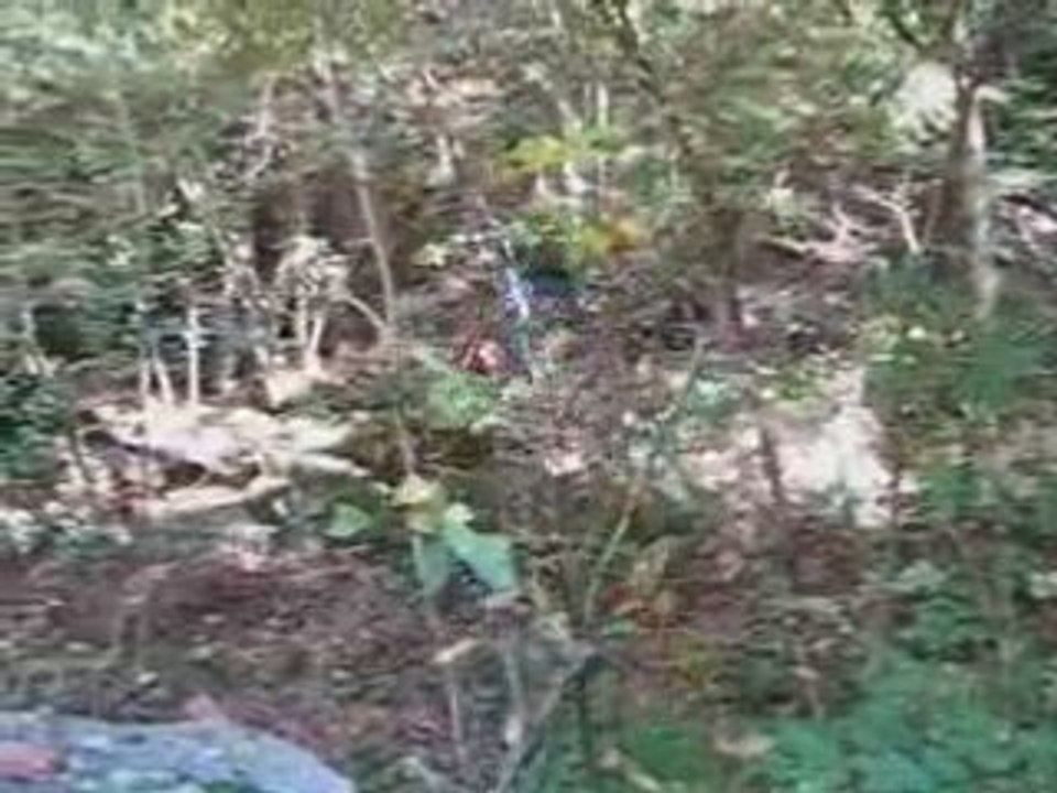 P'tite virée automnale entre pots...