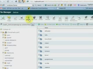 Upload (Wordpress theme) to Bluehost CPanel