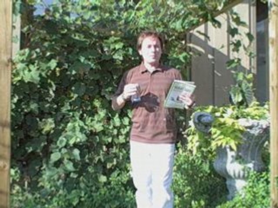 How To Lose Weight By Drinking Water