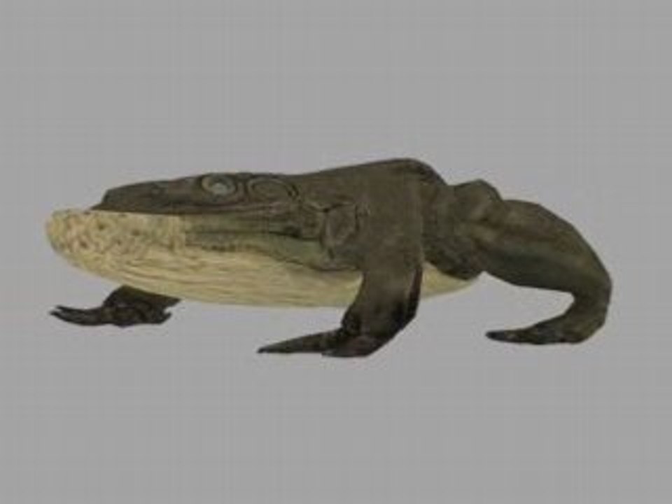 Battle Toad Walk Cycle