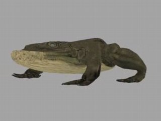 Battle Toad Walk Cycle