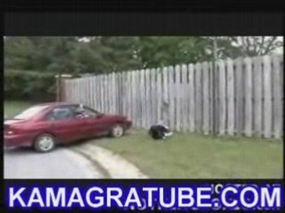 Dumbass Fence Slam Stunt
