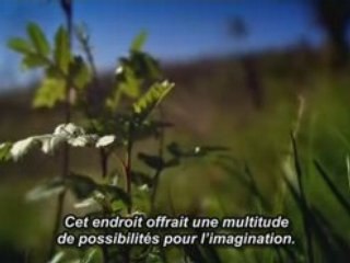 Un an dans la vie de J.K. Rowling [Partie 1]