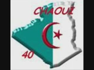100% chaoui 2008 alle dans sud