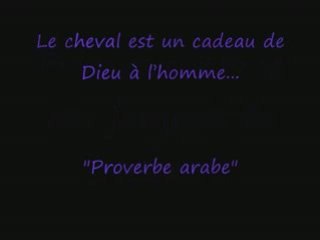 Princesse - Kiara Octobre 2008