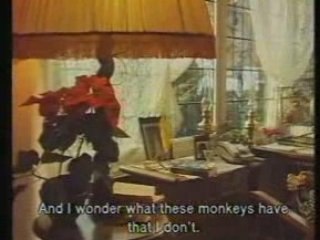 Koning Boudewijnstichting