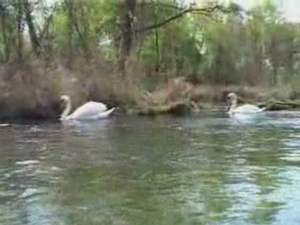 Alsace-canoes Grussenheim - JDS.FR