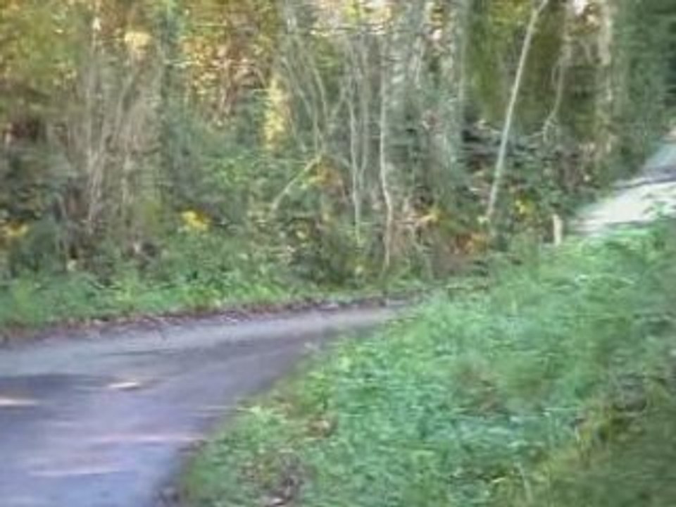 Rallye de la haute saone 2008  es1  cel