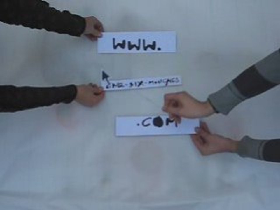 5-6 mouches
