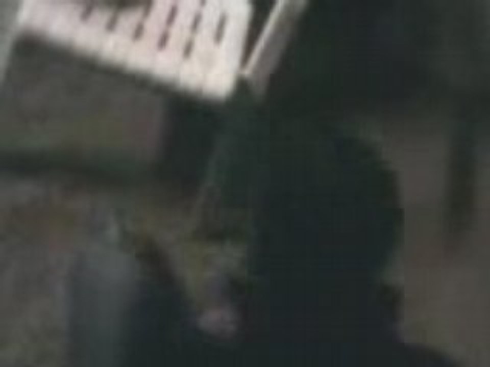 Moi plein cher Bachus