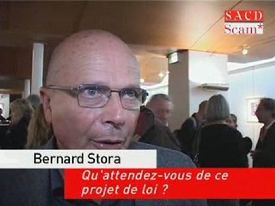 Bernard Stora - Réforme de l'audiovisuel public