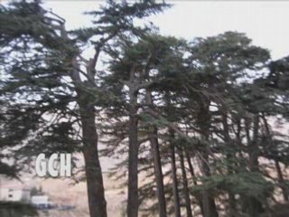 GIORGIO @ THE CEDARS OF GOD ¤ جوقة الأغاپي - أراك إلهي أراك