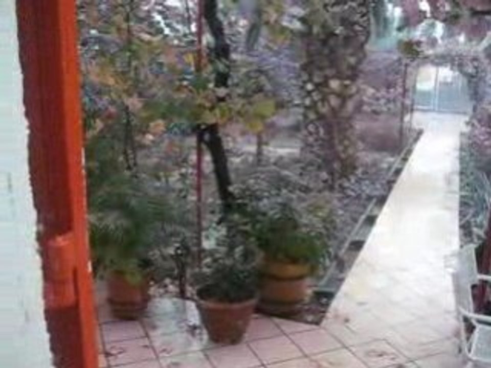 jardin sous la pluie