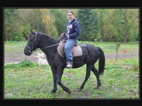 Octobre21 2008 balade megane cassandra cheval