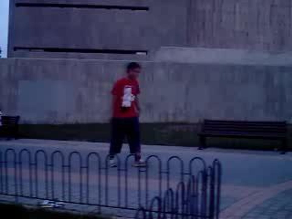 Entrenamiento tricks