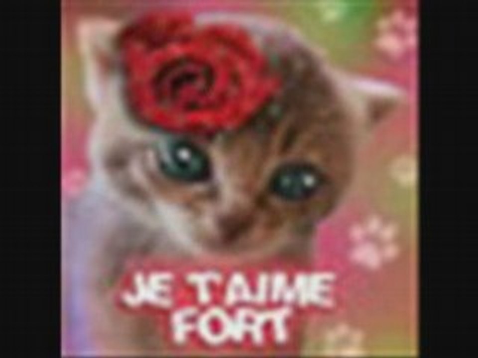 Moi titi