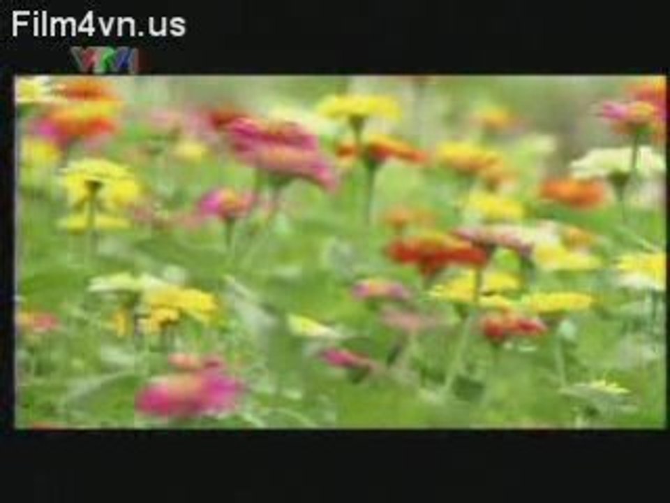 Film4vn.us-BongdungMK-OL-26.00