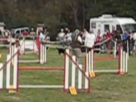 AUSSIE NOIR AGILITY LEVIGNAC 2008 JUGE MME BETBEDER 029(1)