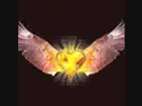 Не Те Обичам