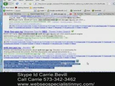 '(Web Seo PPC NY) or '(Organic Search Engine Optimization)