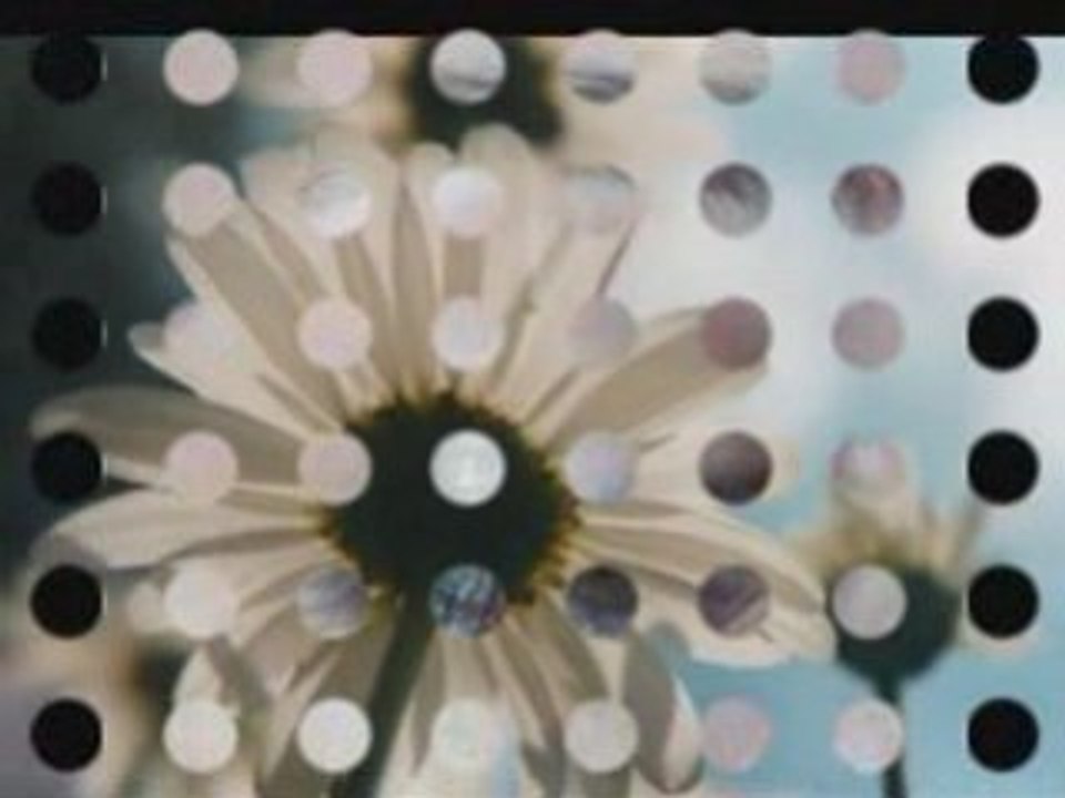 Waxing in Point Loma